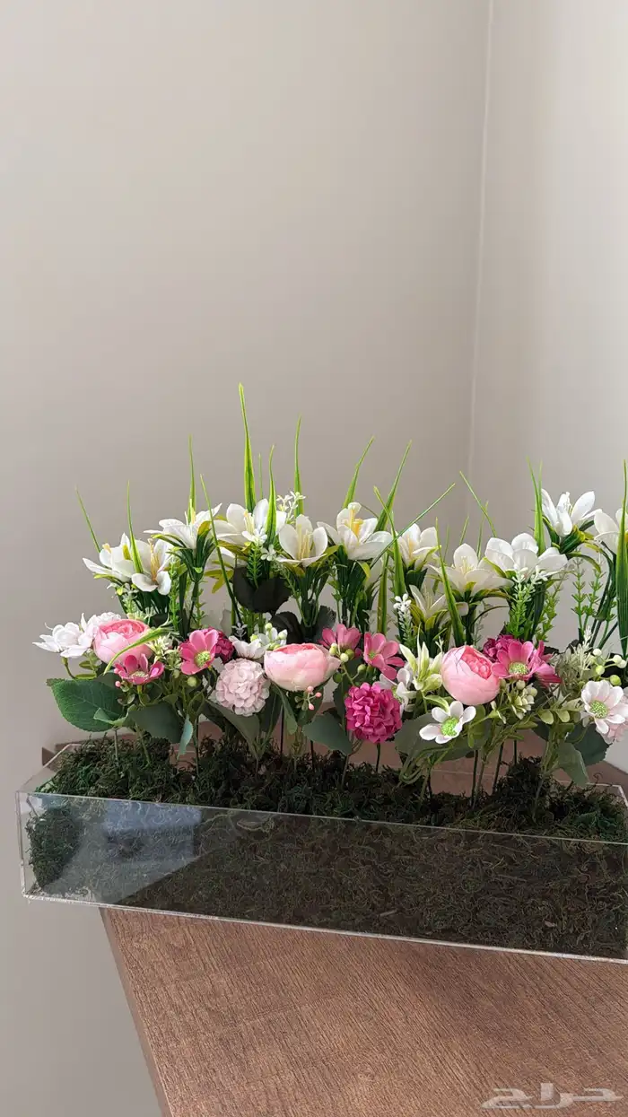 للبيع ورد استقبال 1