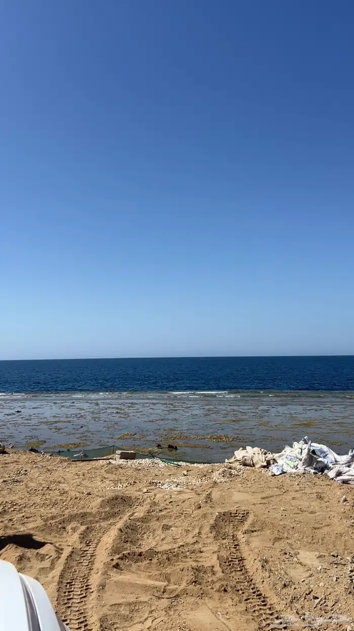 شيول 2