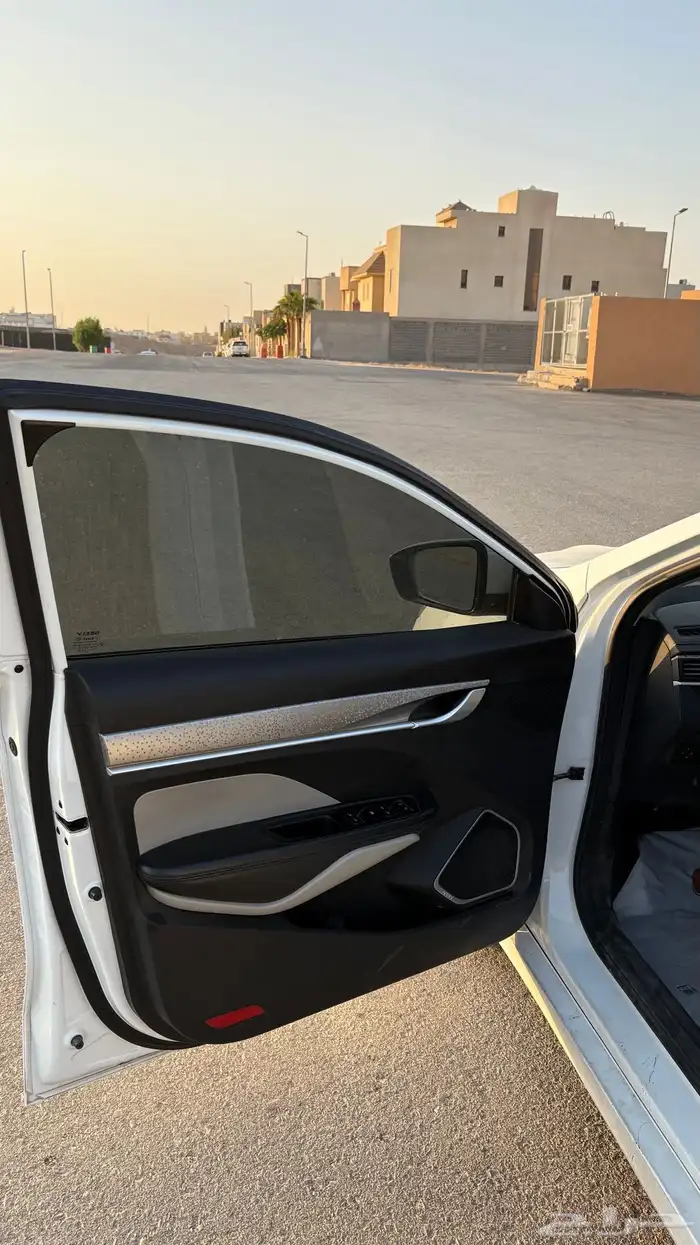 جيلي بينراي 2020 15