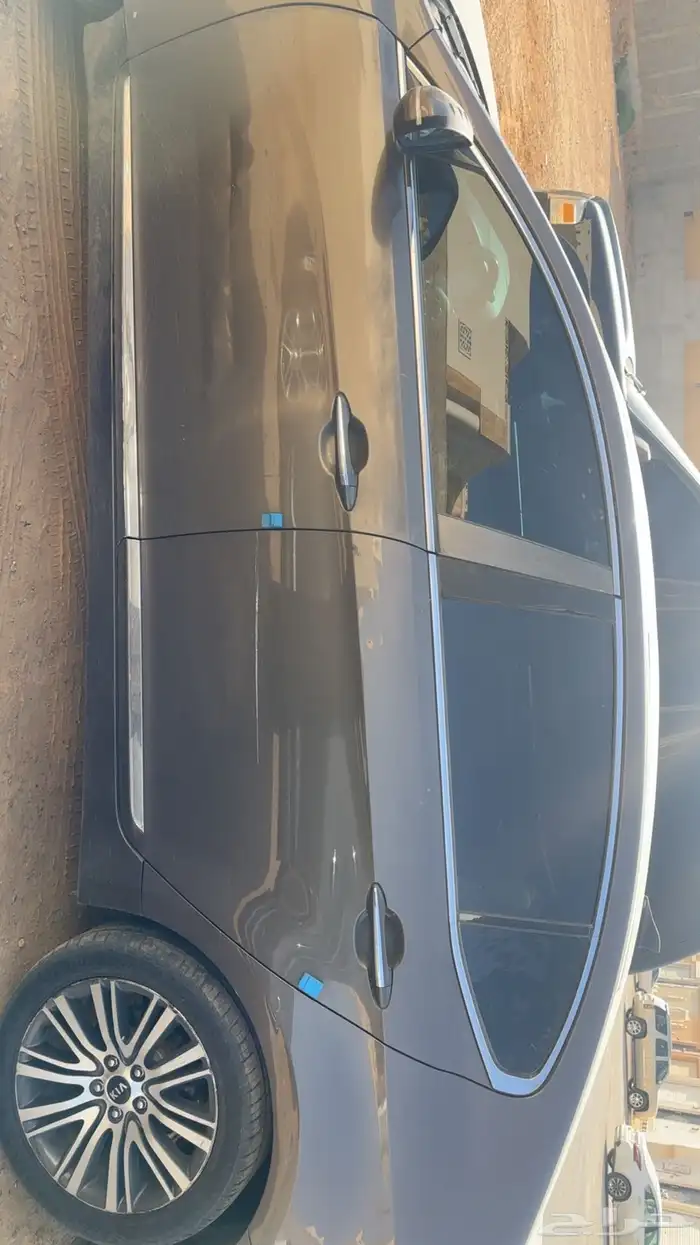 كادينزا 2014 1