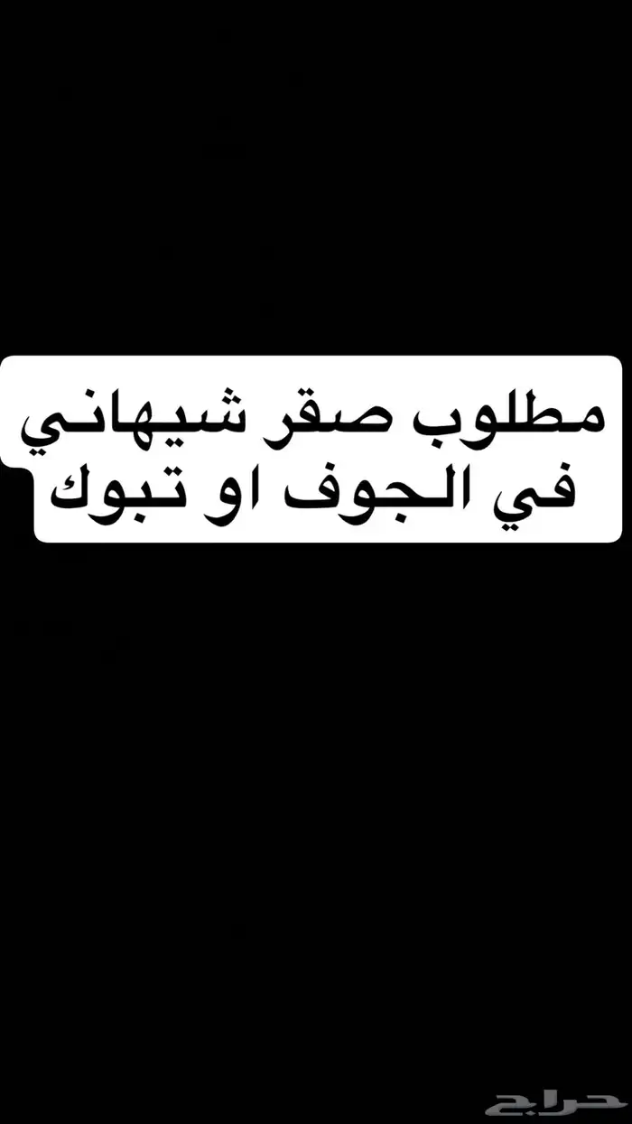 مطلوب صقر شيهاني 0