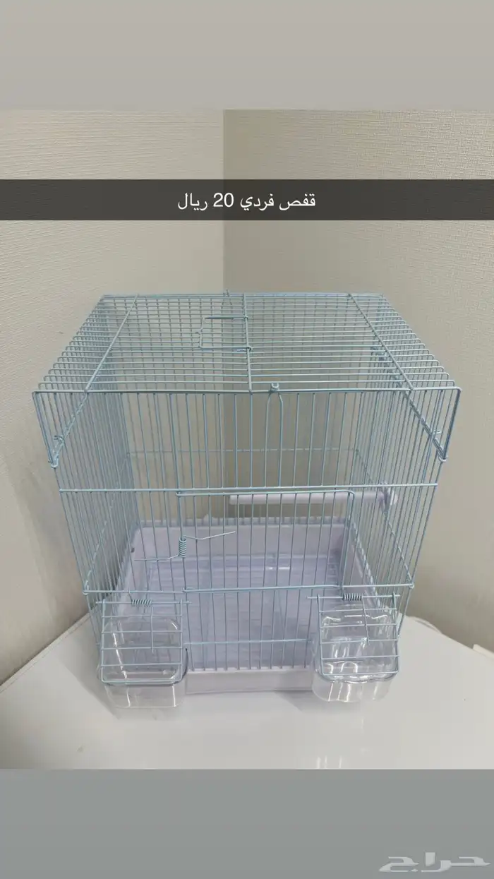 قفز طيور 4