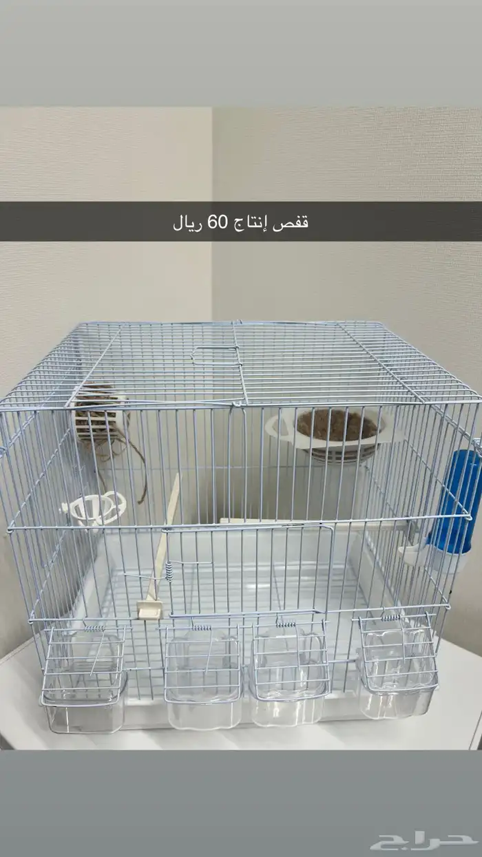قفز طيور 3
