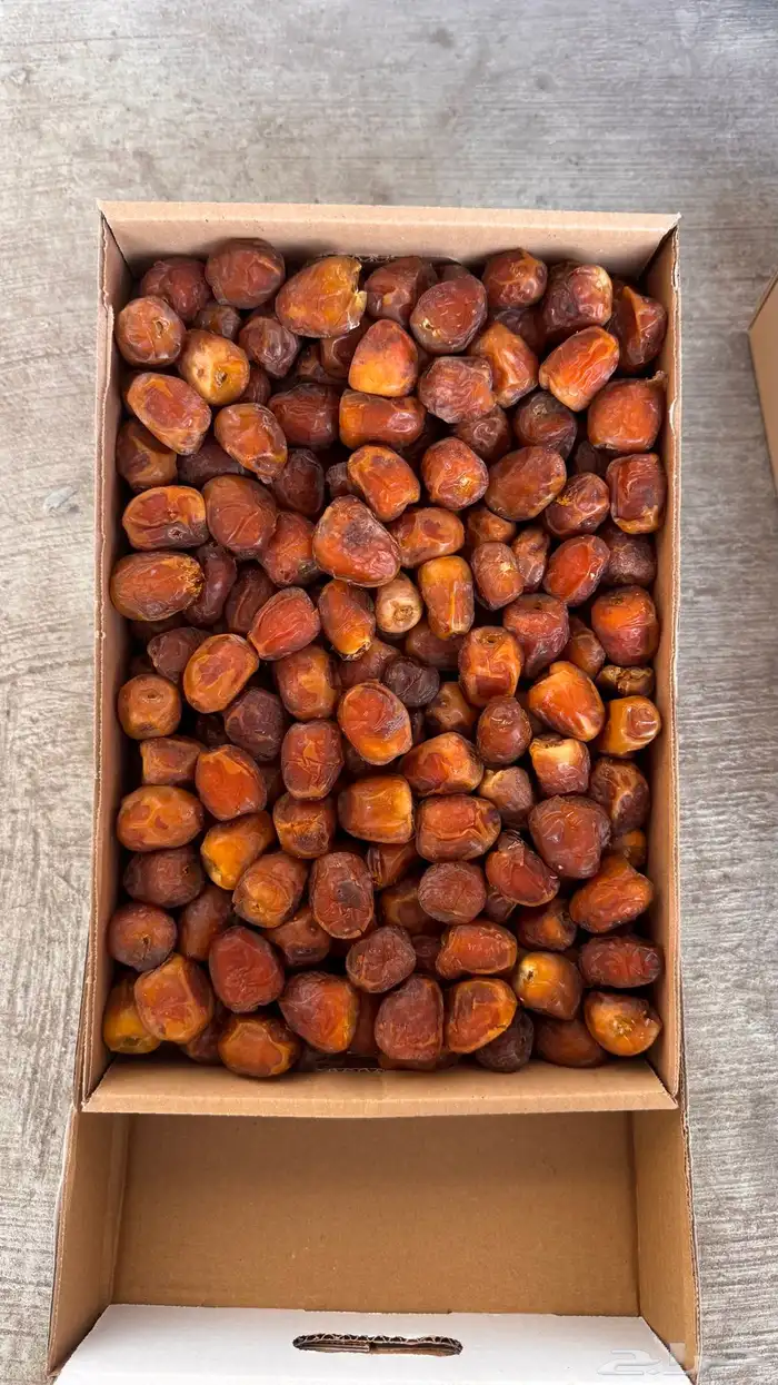 تمر سكري رطب و مفتل (عضوي) 0