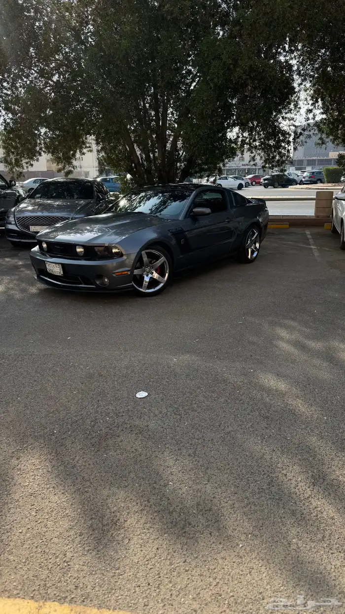 فورد موستنج روش   FORD MUSTANG ROUSH 13