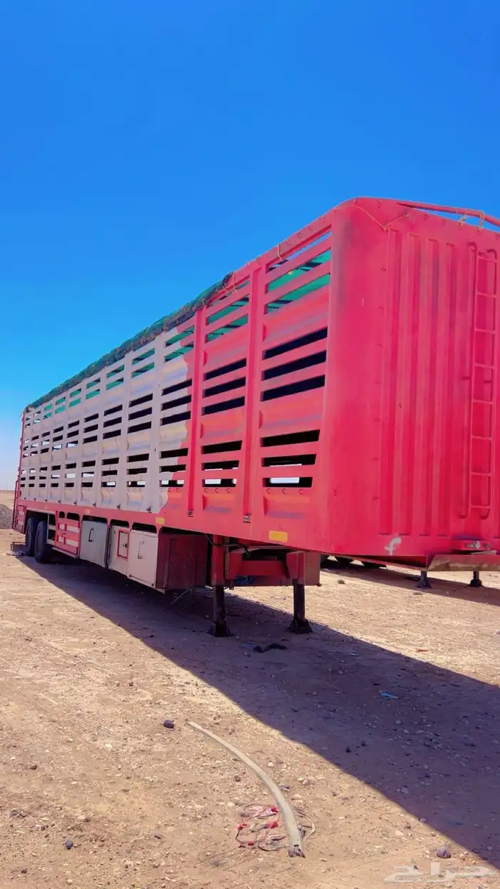 غنامي تيدر للبيع 2