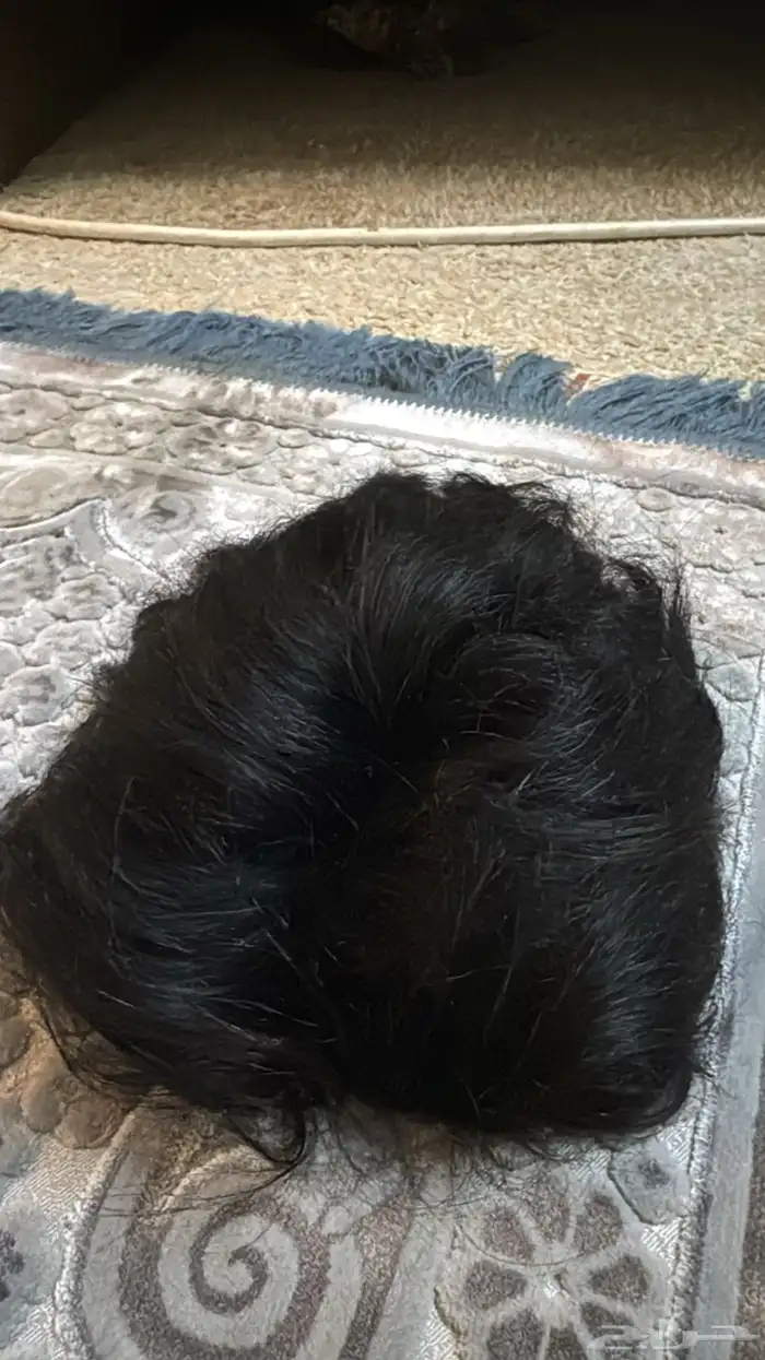 شبكية شعر ( استرالية ) 1