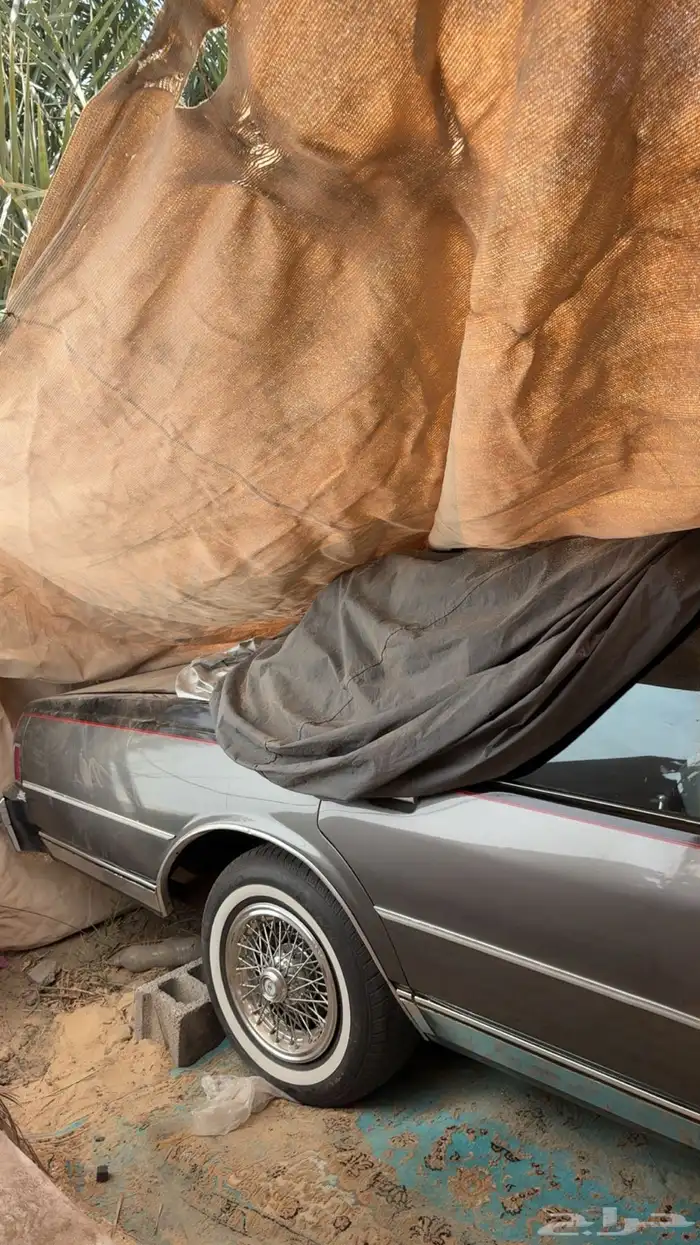 كابرس 1990 11