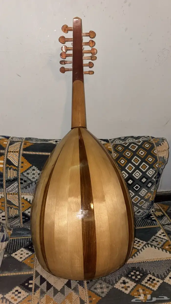 عود للبيع 0