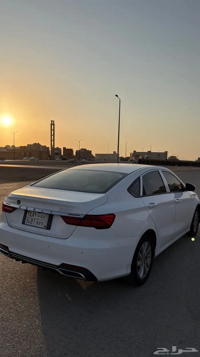 جيلي بينراي 2020 6