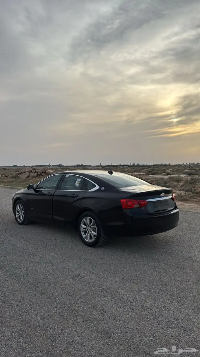 امبالا 2019 16