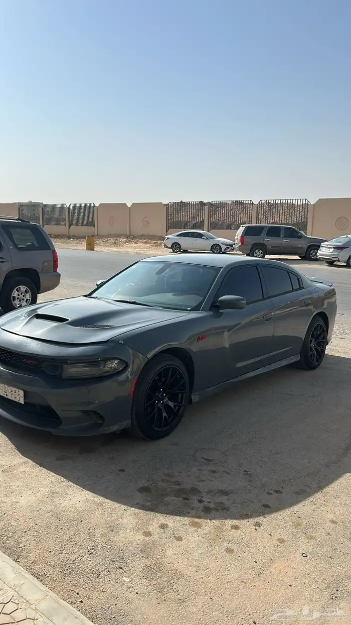 تم البيع 3