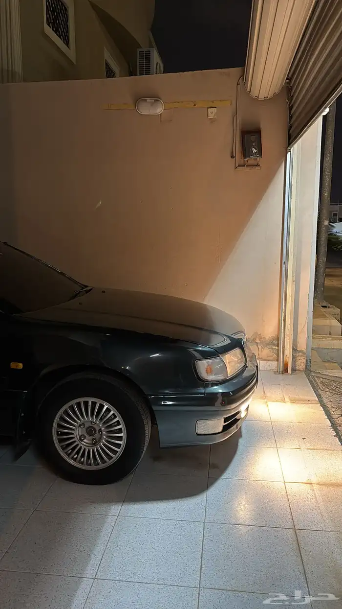 مكسيما 98 21