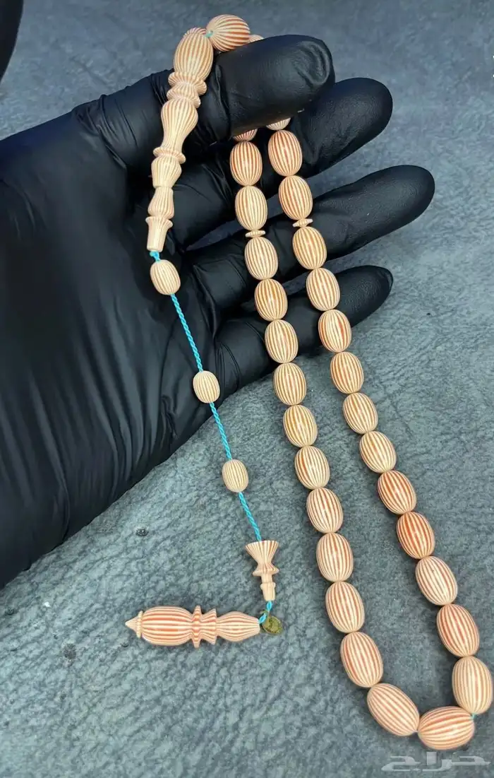 سباح قلاليث فرنسي مخطط 4