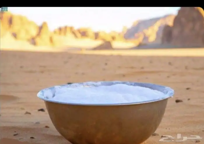 خليب ابل خلفات يوميا 0