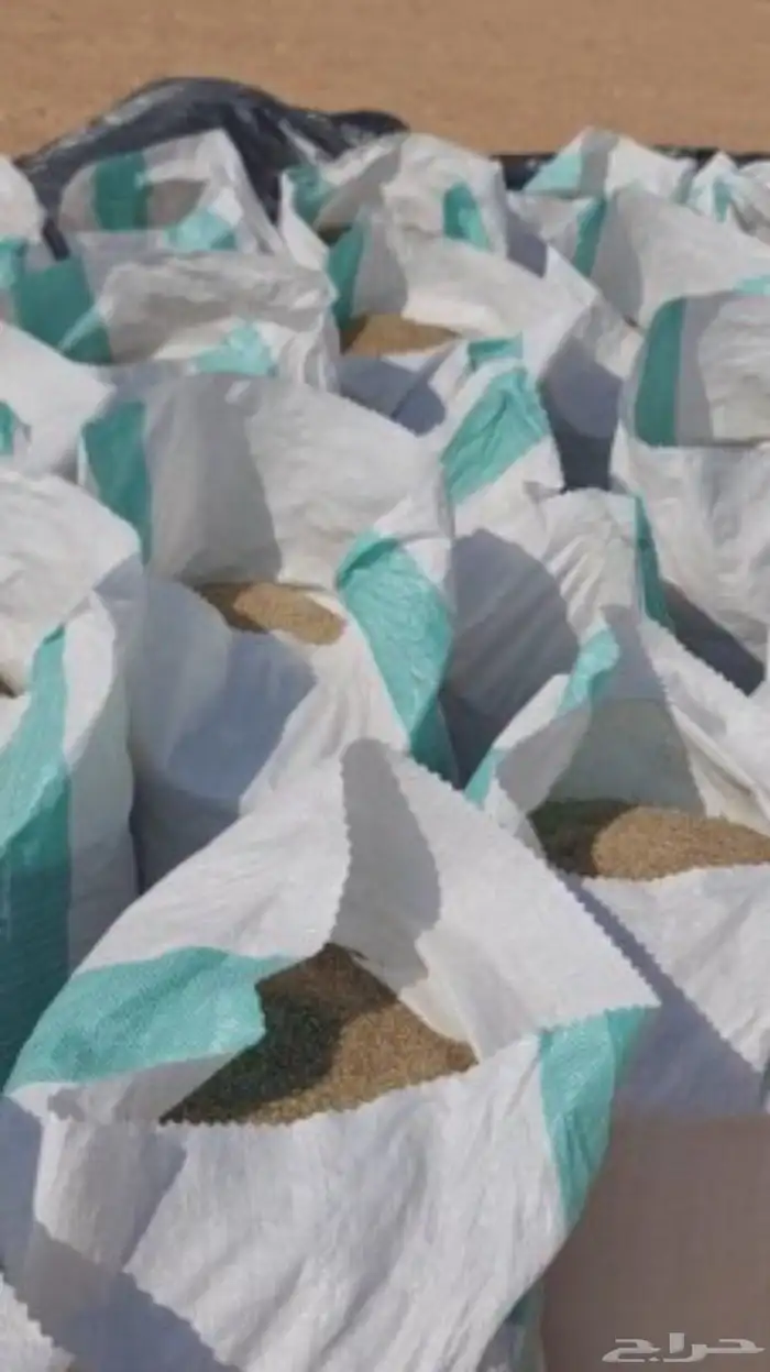 بذور رودس وطني 3