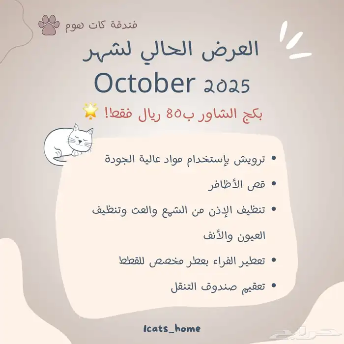 فندقة قطط - مبيت قطط - شاور قطط 0