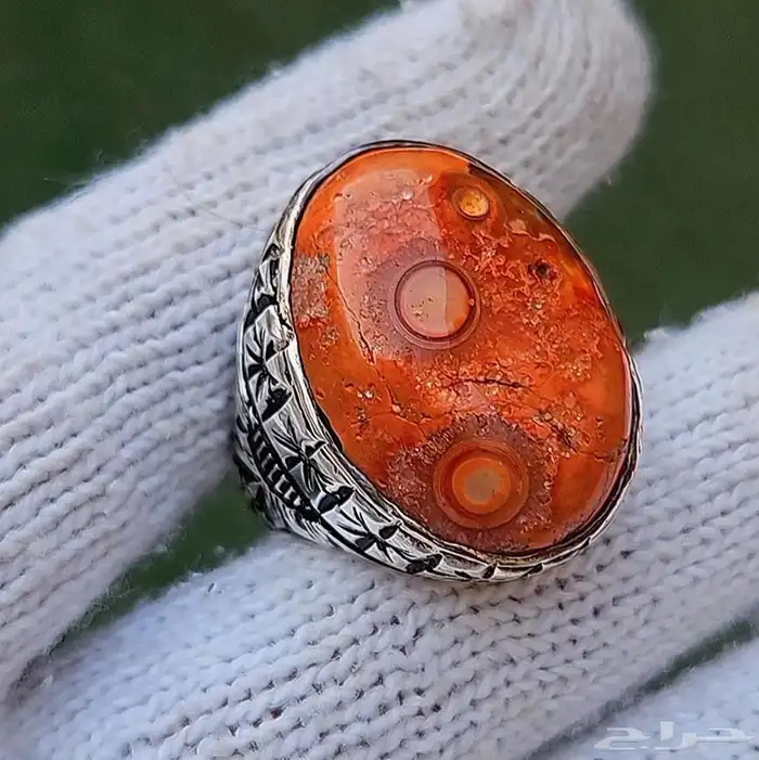 تم البيع - سليماني هندي خام مميز 4