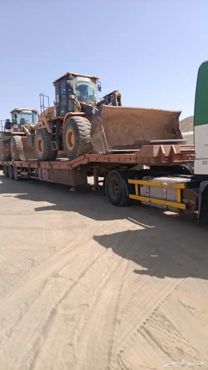 للوبد متواجد في ضباء شرماء البدع حقل جبل اللوز 1