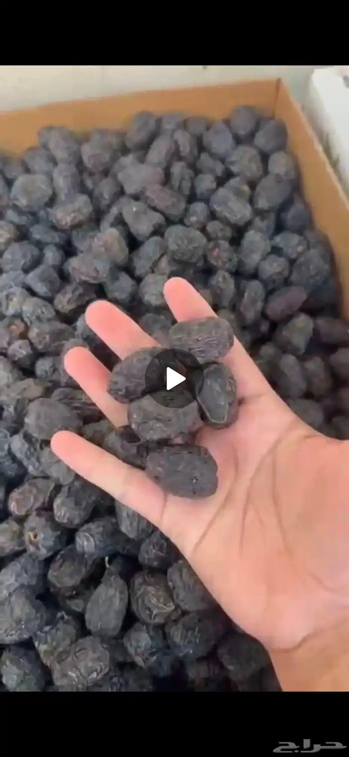 عجوة كمية 10 طن سعر فقط 12 ريال 0