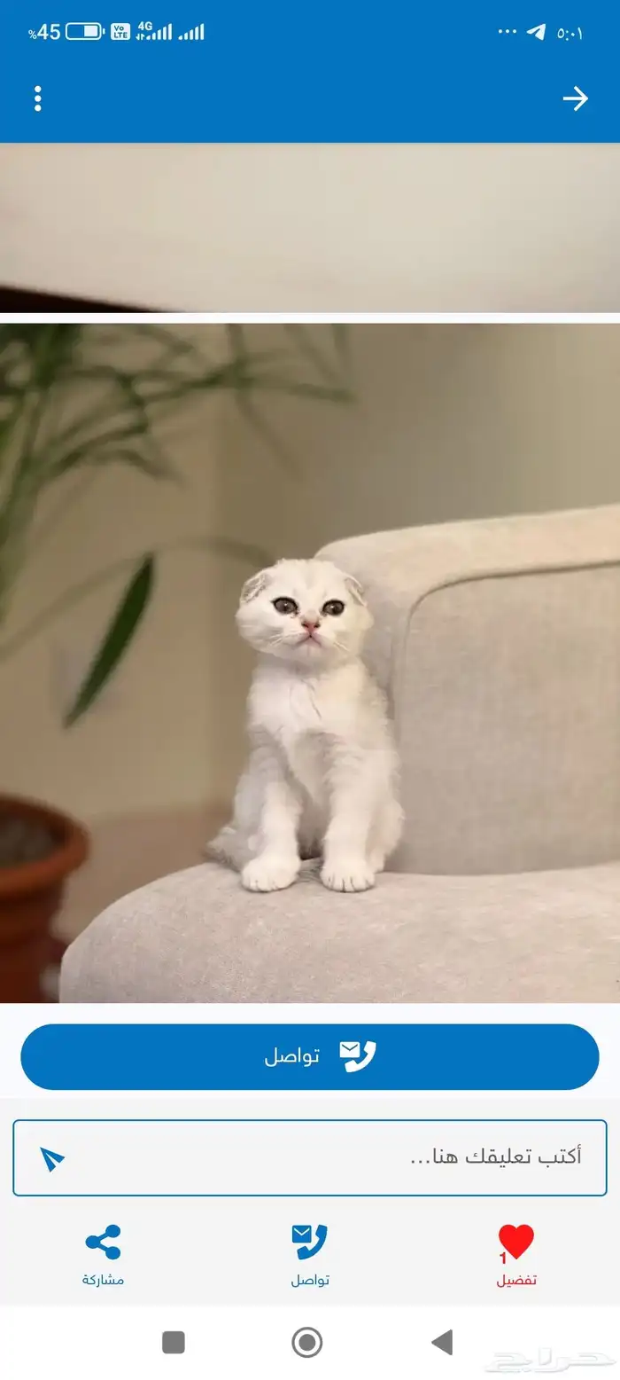 سكوتش تربل فولد مستوى عالي 0