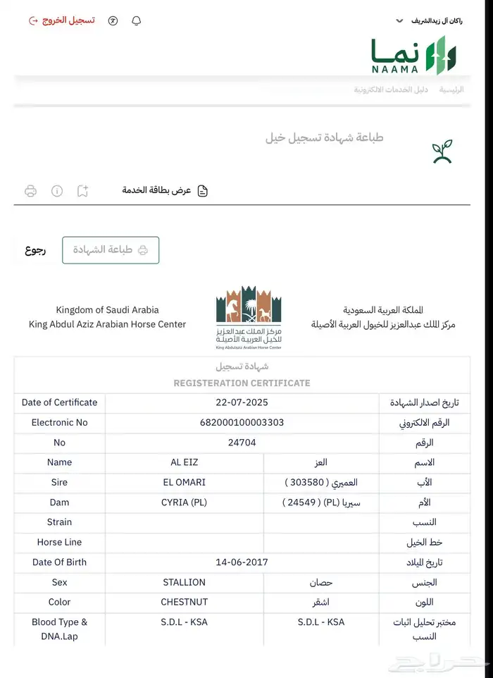 حصان طرب 2