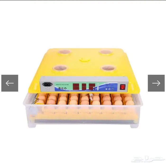 فقاسة بيض اوتوماتيك 0