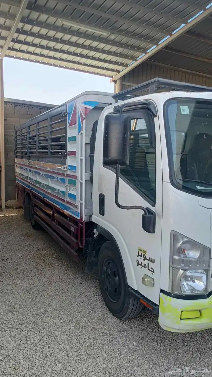 دنه ايسوزو 2020 5