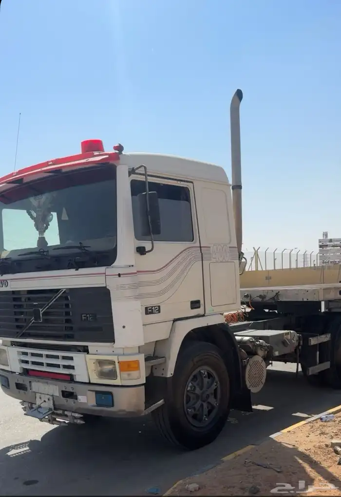 راس فلفو زاهد 95 0