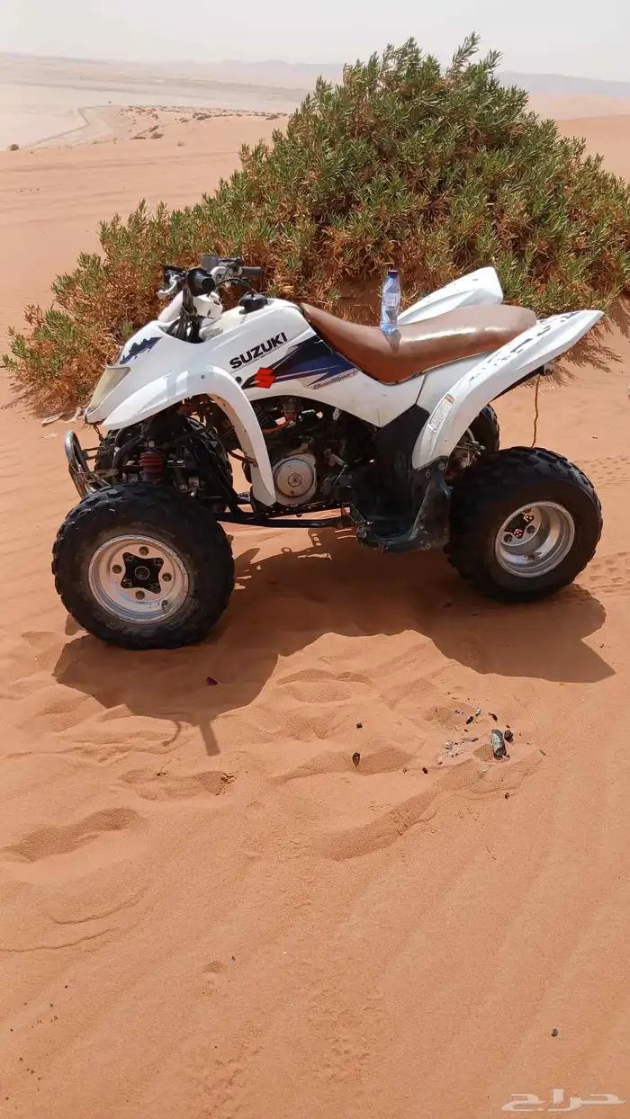 آجار جمال رحول ركبي وا خيول وا دبابات بي اليوم وا الاسبوع 9