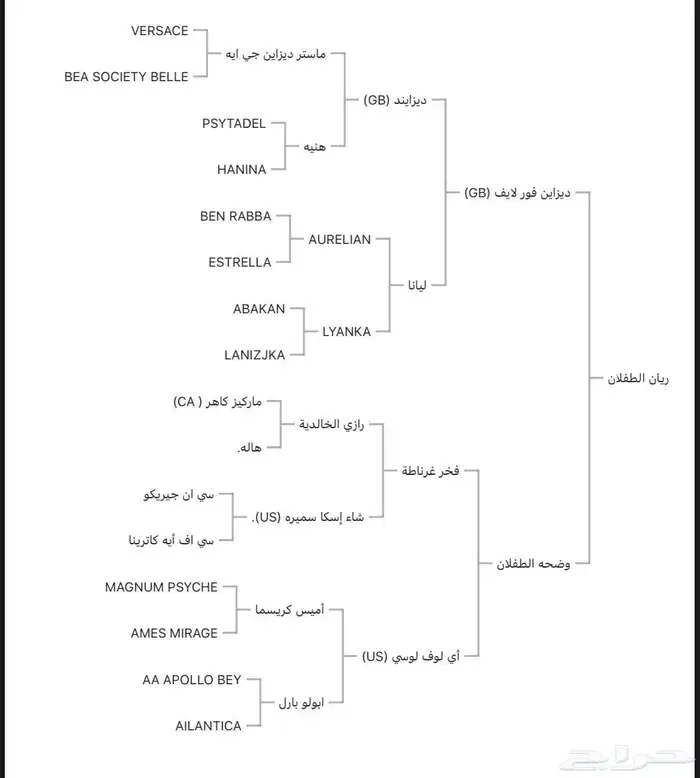 حصان مكس ولد  ديزاين فور لايف 3