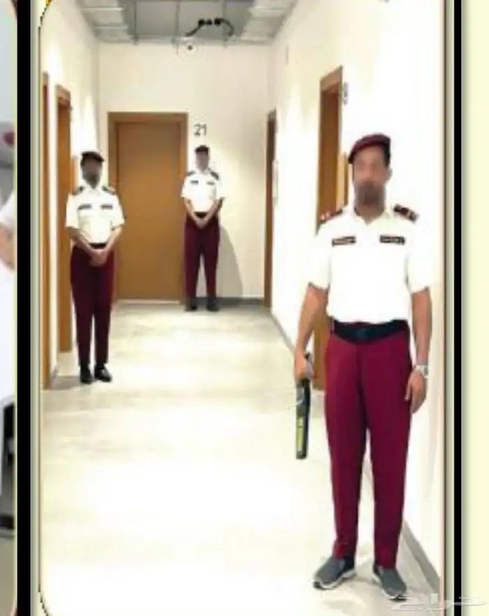 شركة امنيه 0