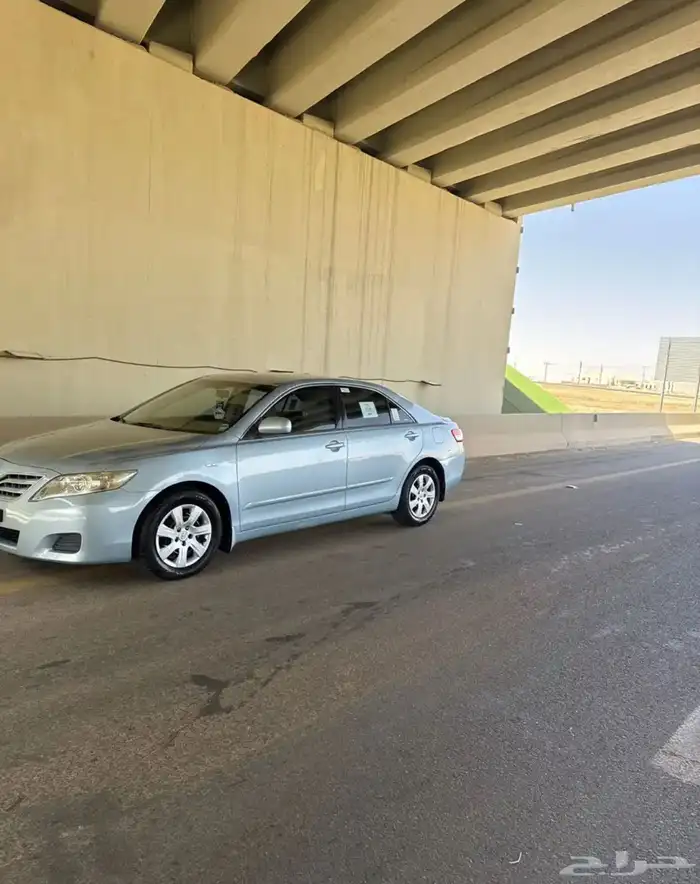 كوامري. عدد 2 للبيع 3