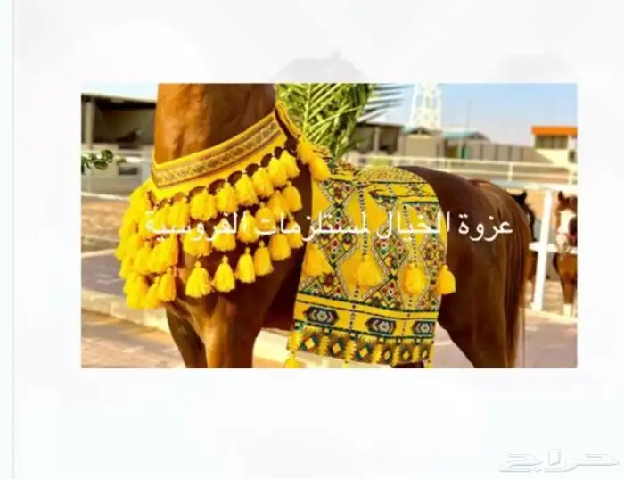 لباده زينه مستخدمه للبيع وسرج وعده 0