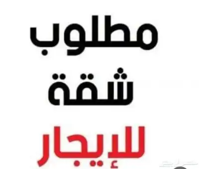 مطلوب 4 شقق نظيفه 0