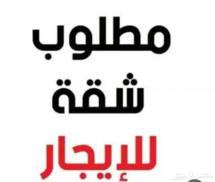 مطلوب 4 شقق نظيفه 0