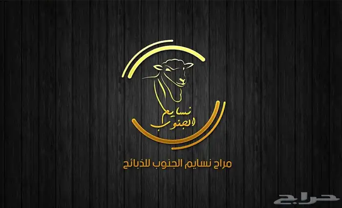 تيوس وخرفان 1