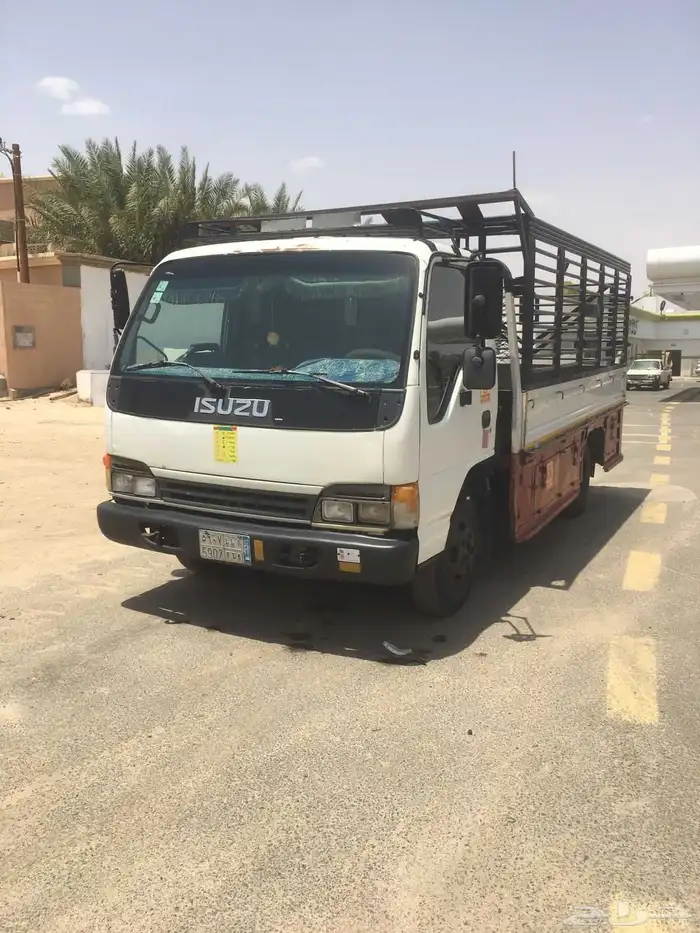 دينا اسيوزوا 0