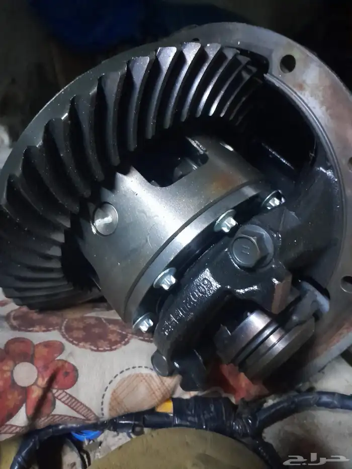 كارونة شاص 1