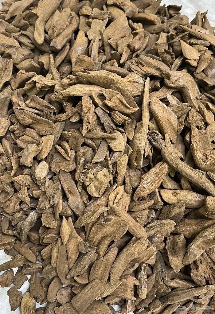 موروكي كينامي دبل وسوبر مرتفع لقطة 1