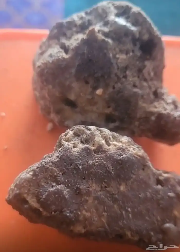 عنبر. حوت 0