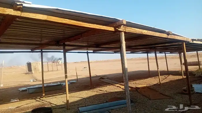زنك للبيع 1