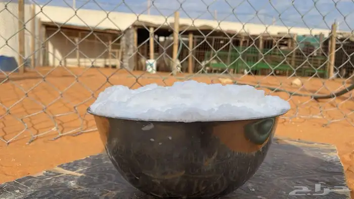 ضروبه مجهم طيبه عند بعارين هيف 2