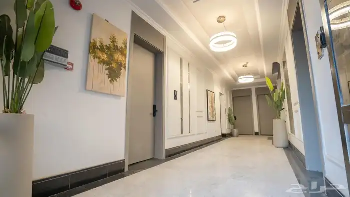 استديو مؤثث بالكامل في حق العقيق 2