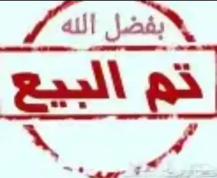 تيوس تم البيع خارج الموقع الله يبارك للمشتري 5