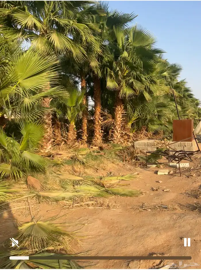 الألوان نساح 9