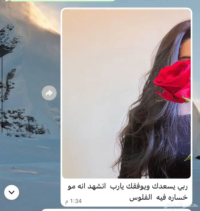 زيت مشاط احمر 4