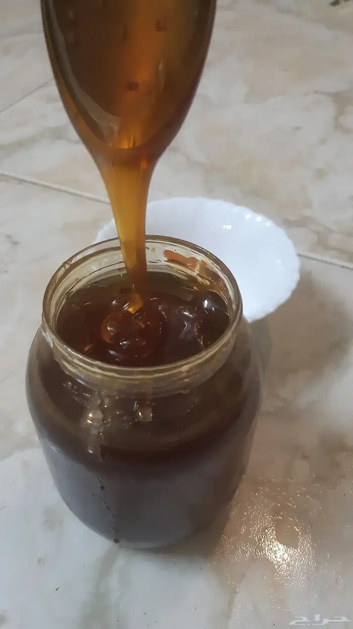 عسل سدر من وادي رم من جبال رم 1