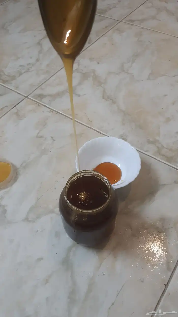 عسل سدر من وادي رم من جبال رم 0