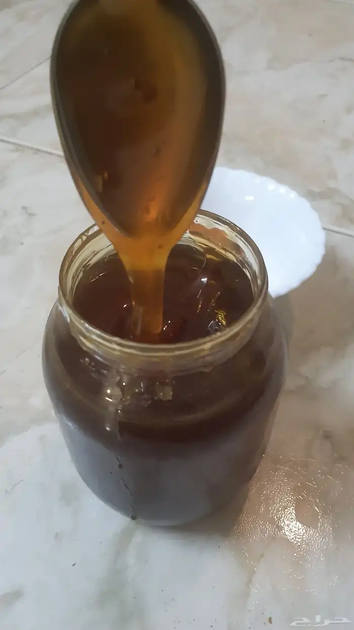 عسل سدر من وادي رم من جبال رم 2